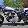 CUSTOM FXR V-BIKE